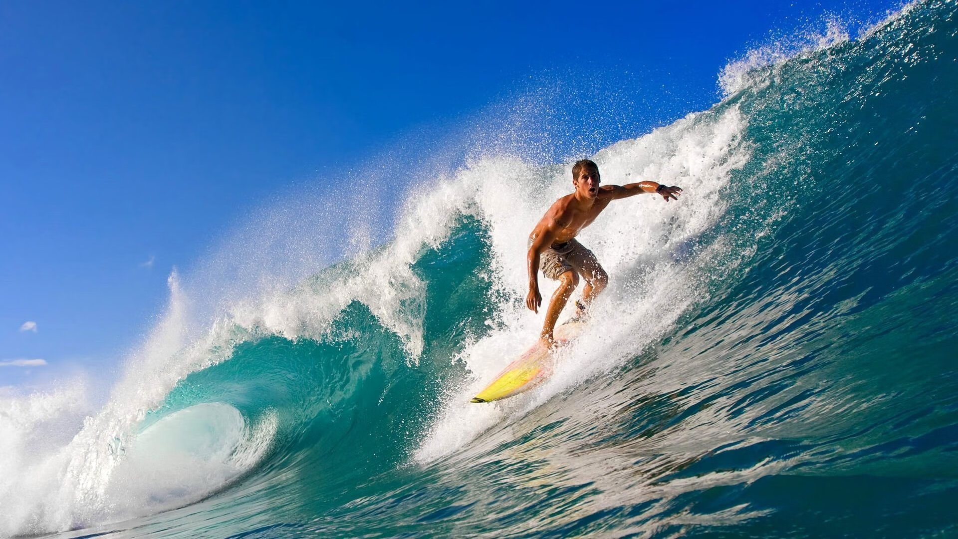 开云APP下载-北美本土选手逐渐崛起，北美是哪个战队的